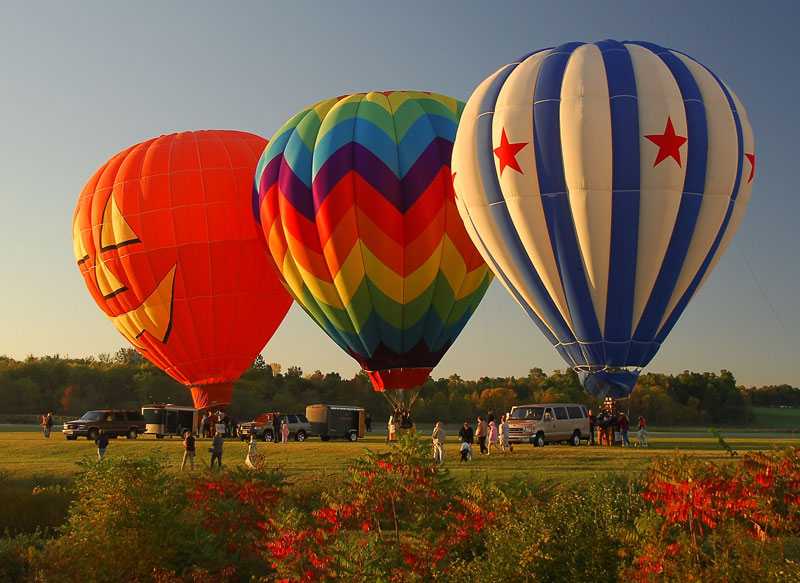 image 348 Festival 2025