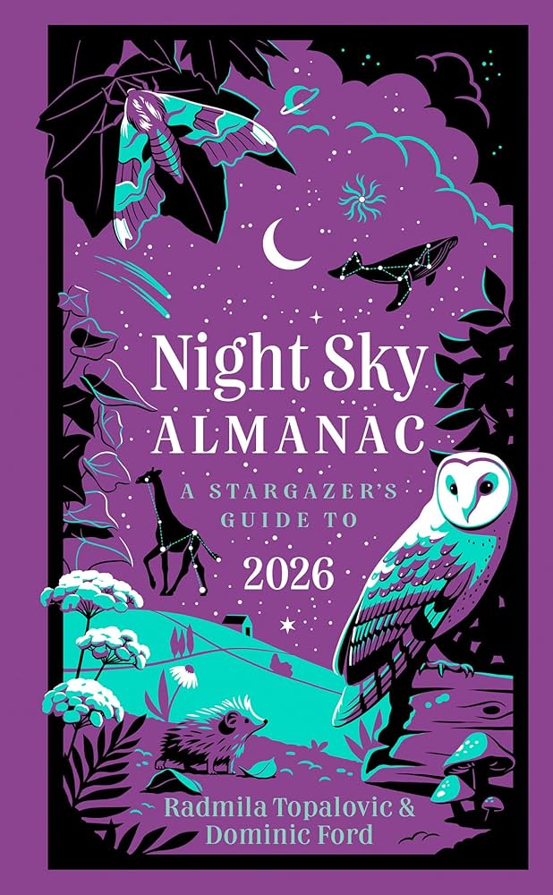 image 349 Festival 2025