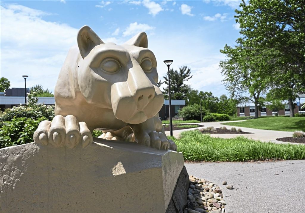 image 354 Festival 2025