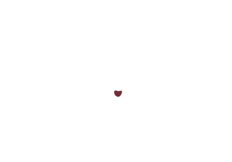 image 358 Festival 2025