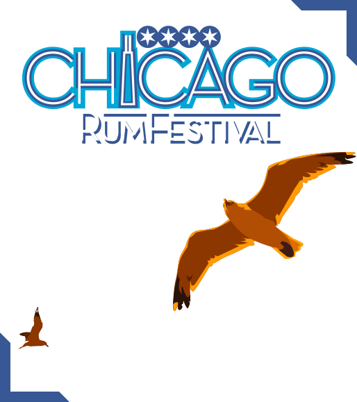 image 364 Festival 2025