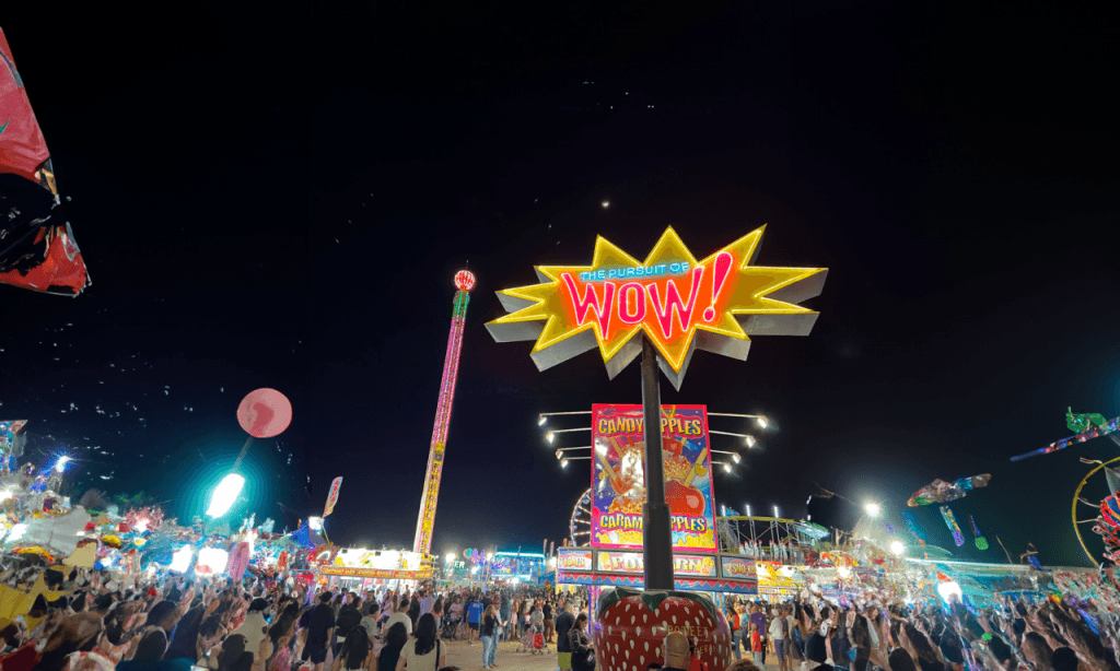 image 366 Festival 2025