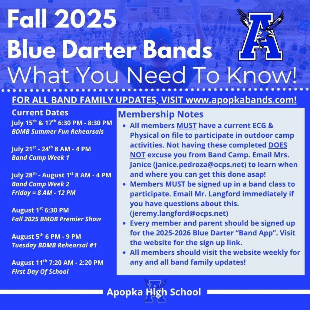 image 384 Festival 2025