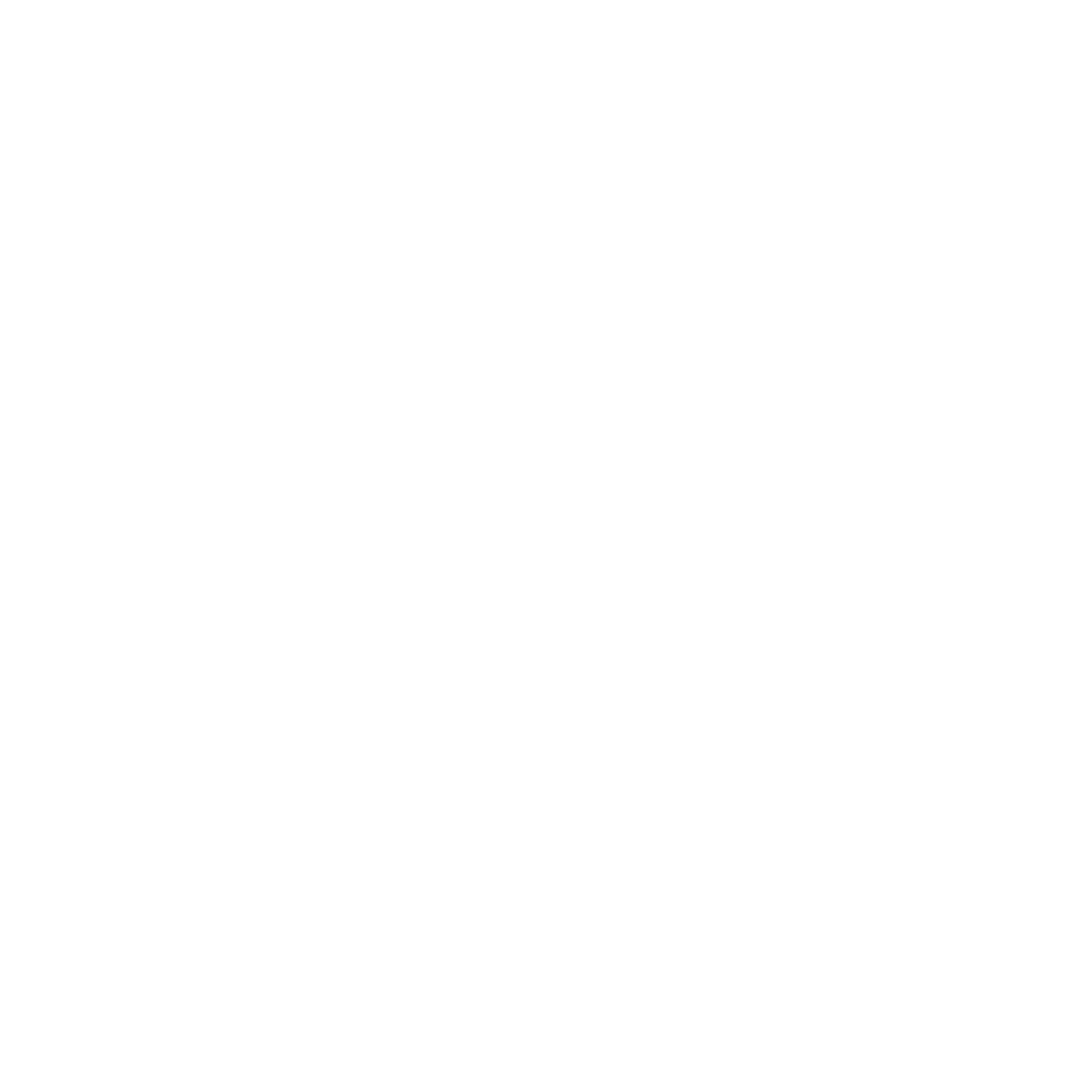 image 39 Festival 2025