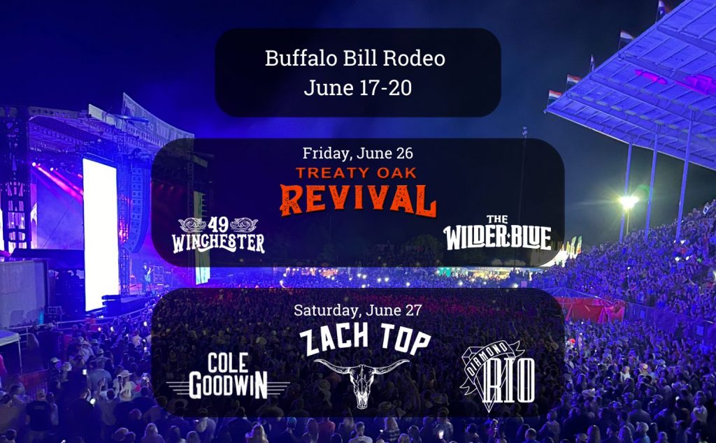 image 390 Festival 2025