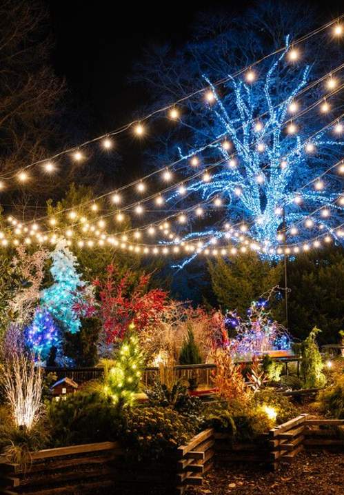 image 392 Festival 2025