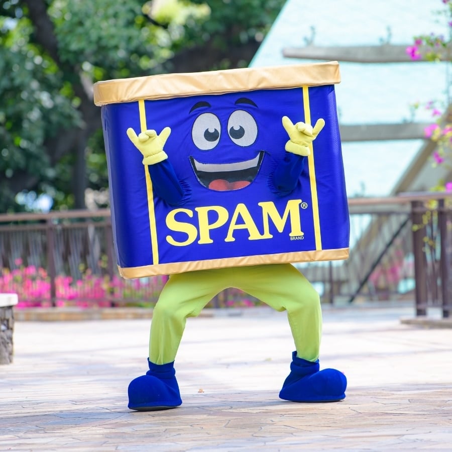 image 393 Festival 2025