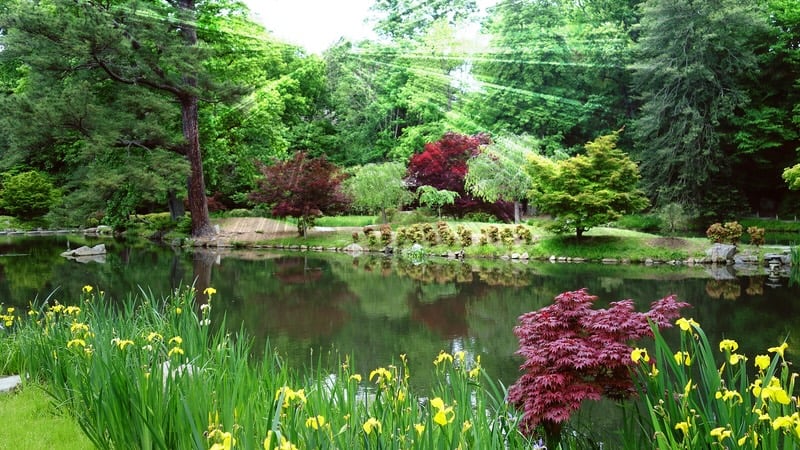 image 394 Festival 2025