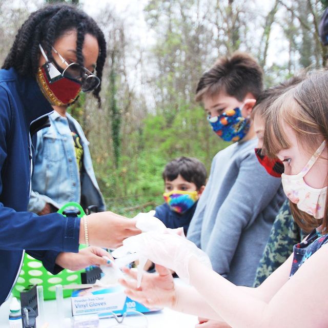 image 405 Festival 2025