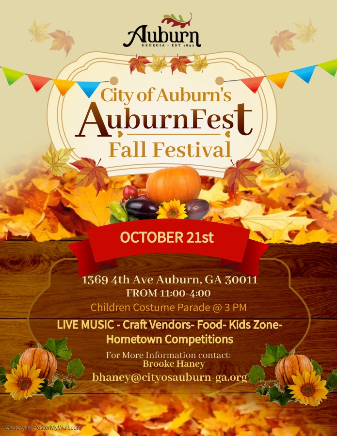 image 411 Festival 2025