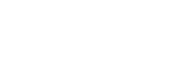 image 411 Festival 2025