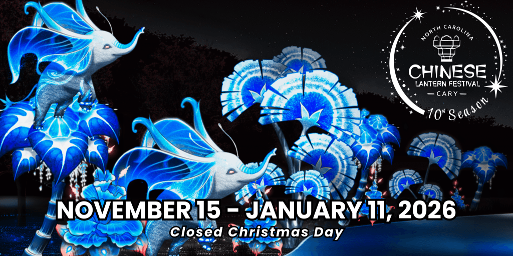 image 412 Festival 2025