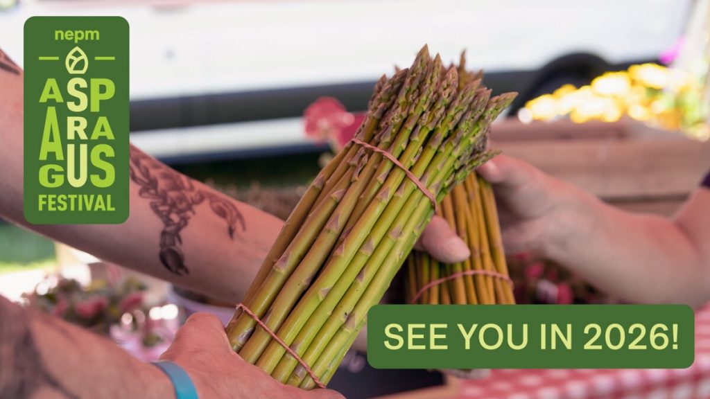 image 422 Festival 2025