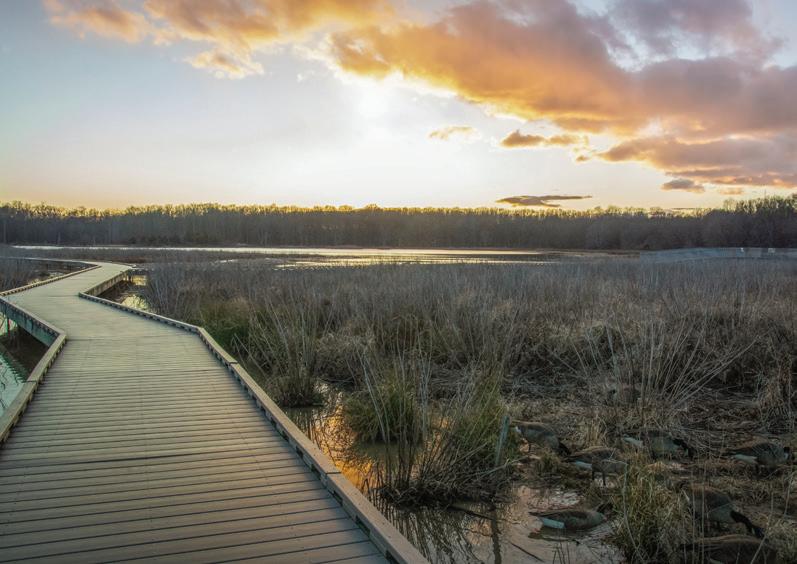 image 424 Festival 2025