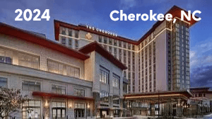 image 425 Festival 2025