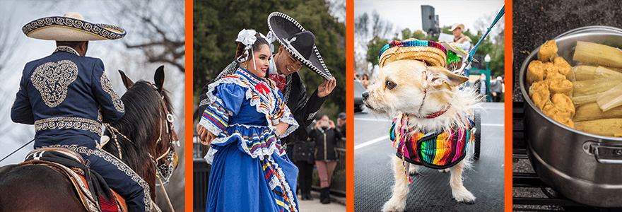 image 440 Festival 2025