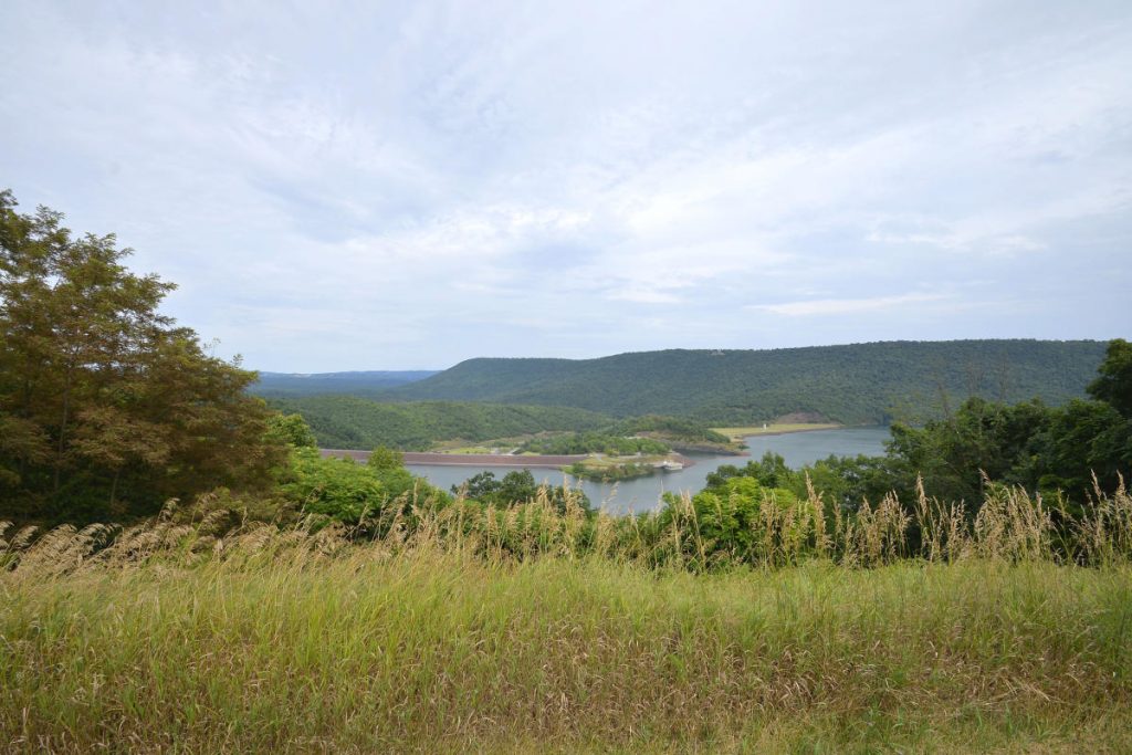 image 442 Festival 2025