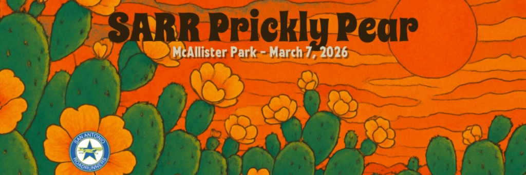 image 447 Festival 2025