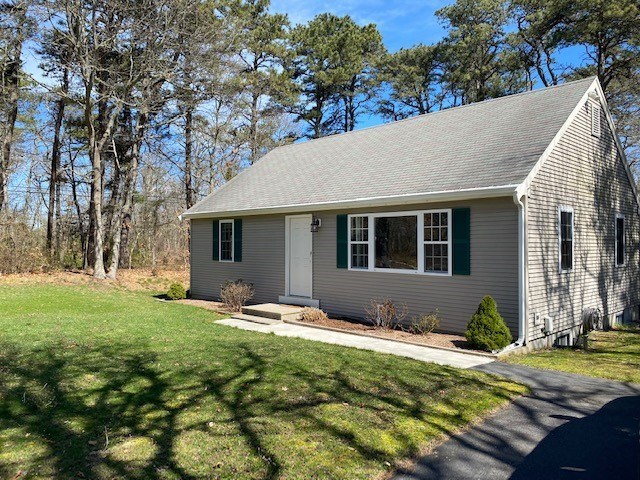 image 447 Festival 2025