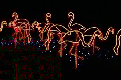 image 470 Festival 2025