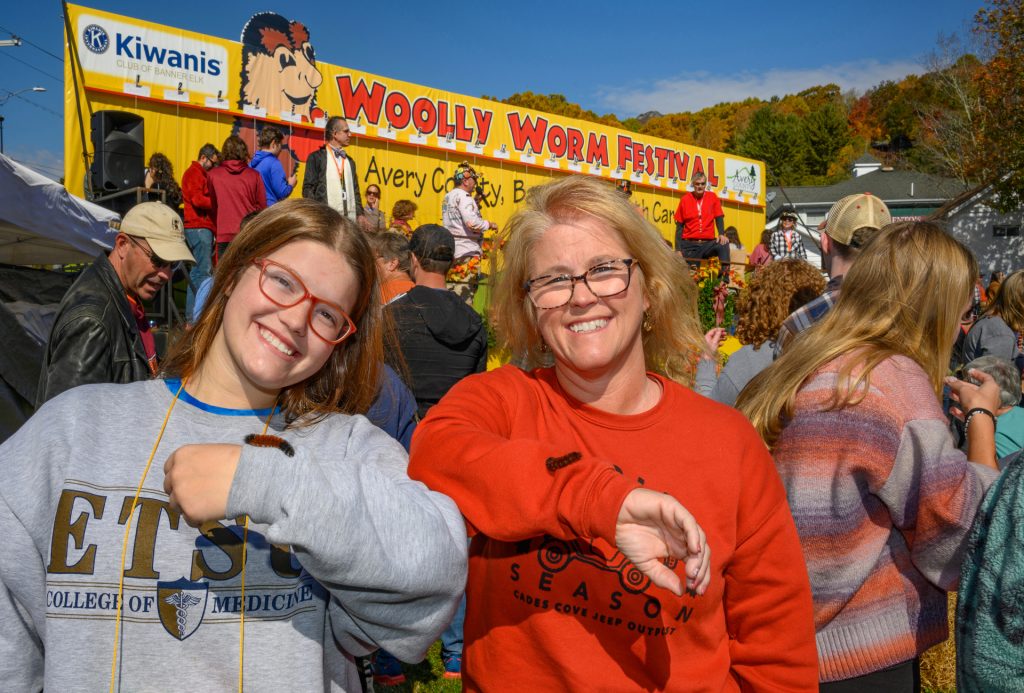 image 474 Festival 2025