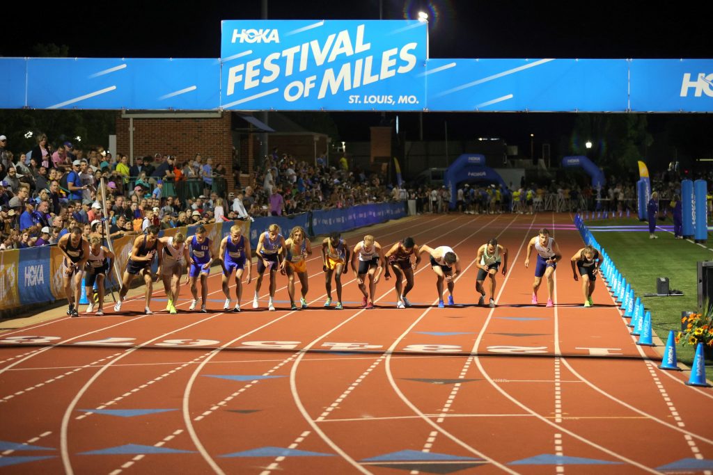 image 478 Festival 2025