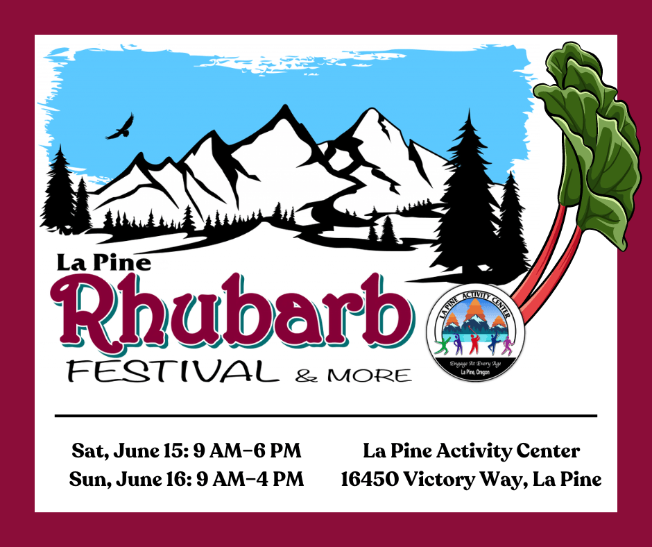 image 484 Festival 2025