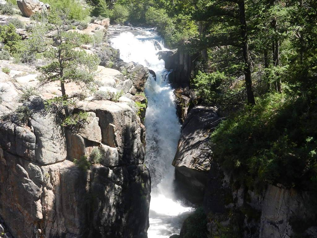 image 486 Festival 2025