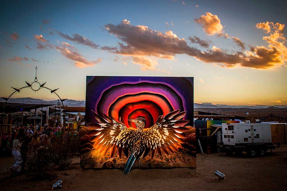 image 491 Festival 2025