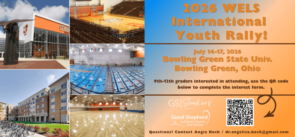 image 499 Festival 2025