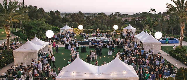 image 501 Festival 2025