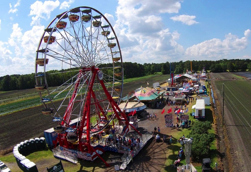 image 503 Festival 2025