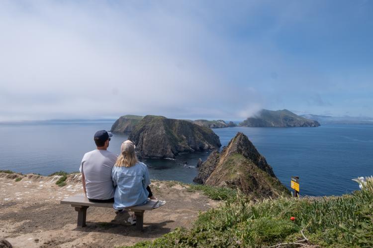 image 516 Festival 2025