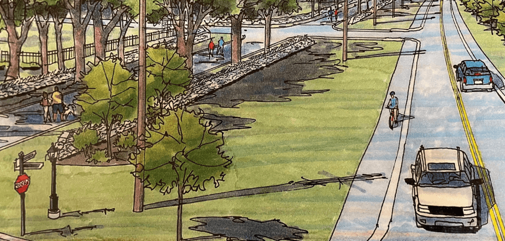 image 517 Festival 2025