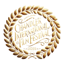 image 529 Festival 2025