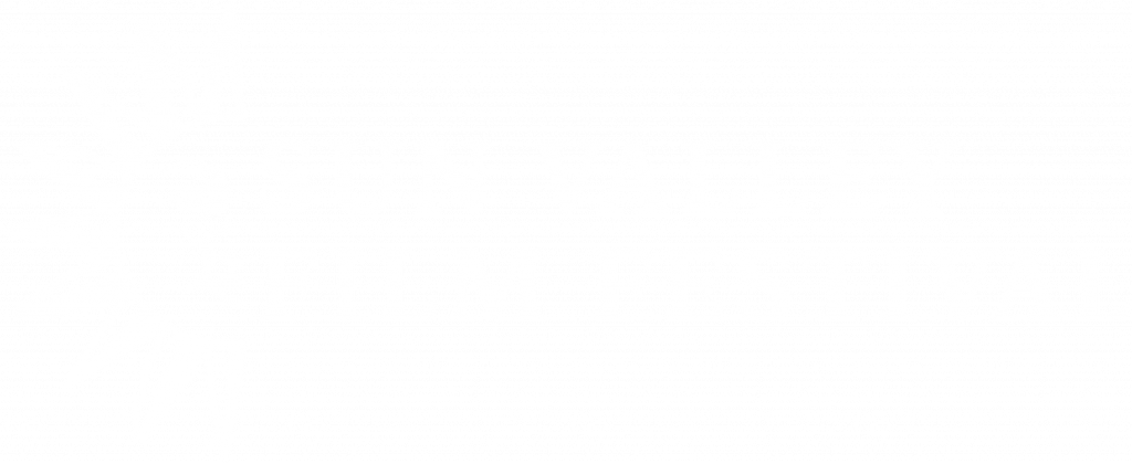 image 538 Festival 2025