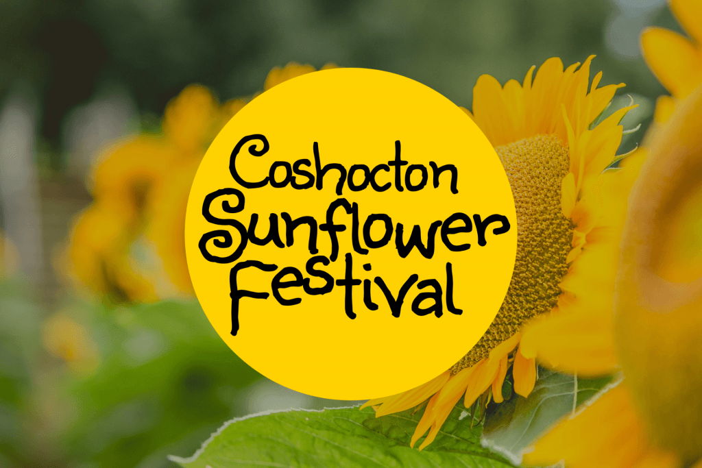 image 539 Festival 2025