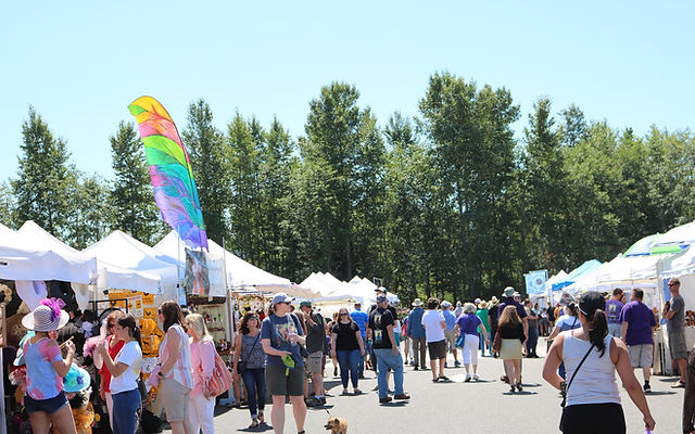 image 554 Festival 2025