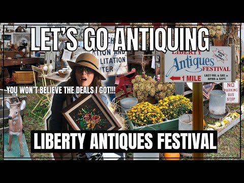 image 564 Festival 2025