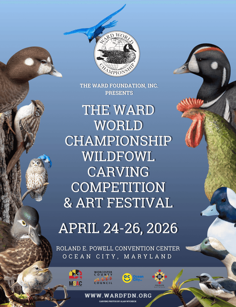 image 571 Festival 2025