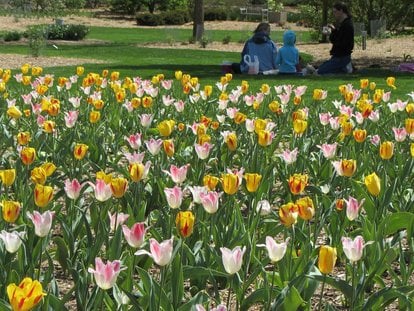 image 574 Festival 2025