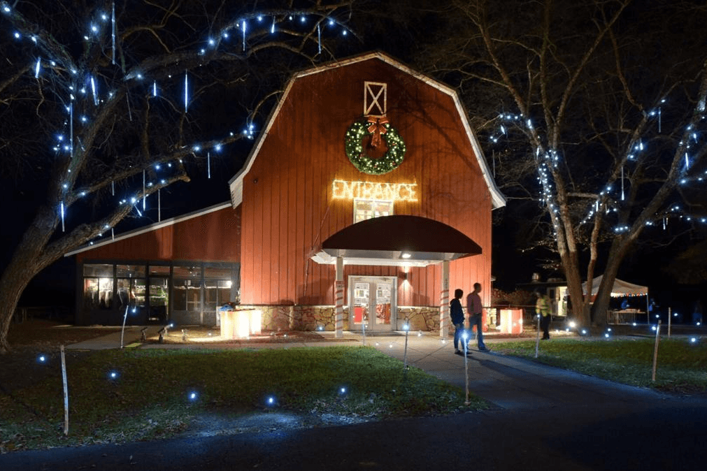 image 595 Festival 2025