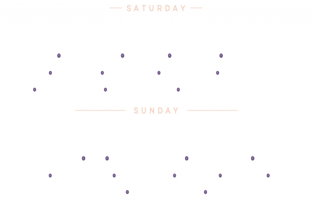 image 597 Festival 2025