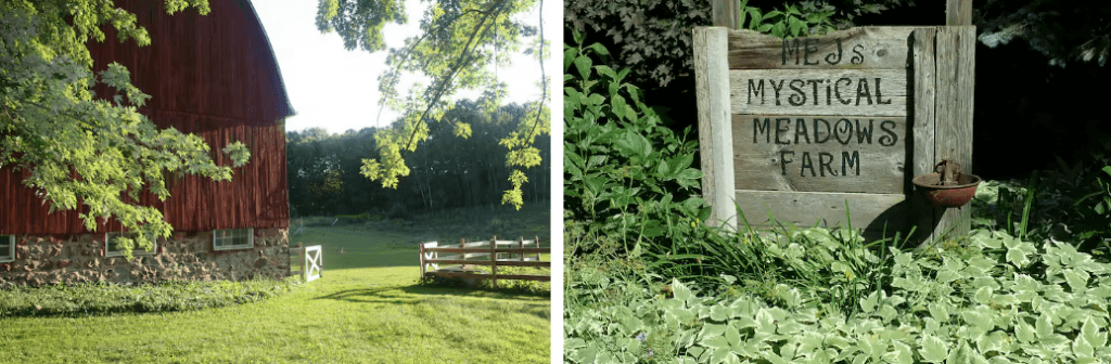 image 610 Festival 2025