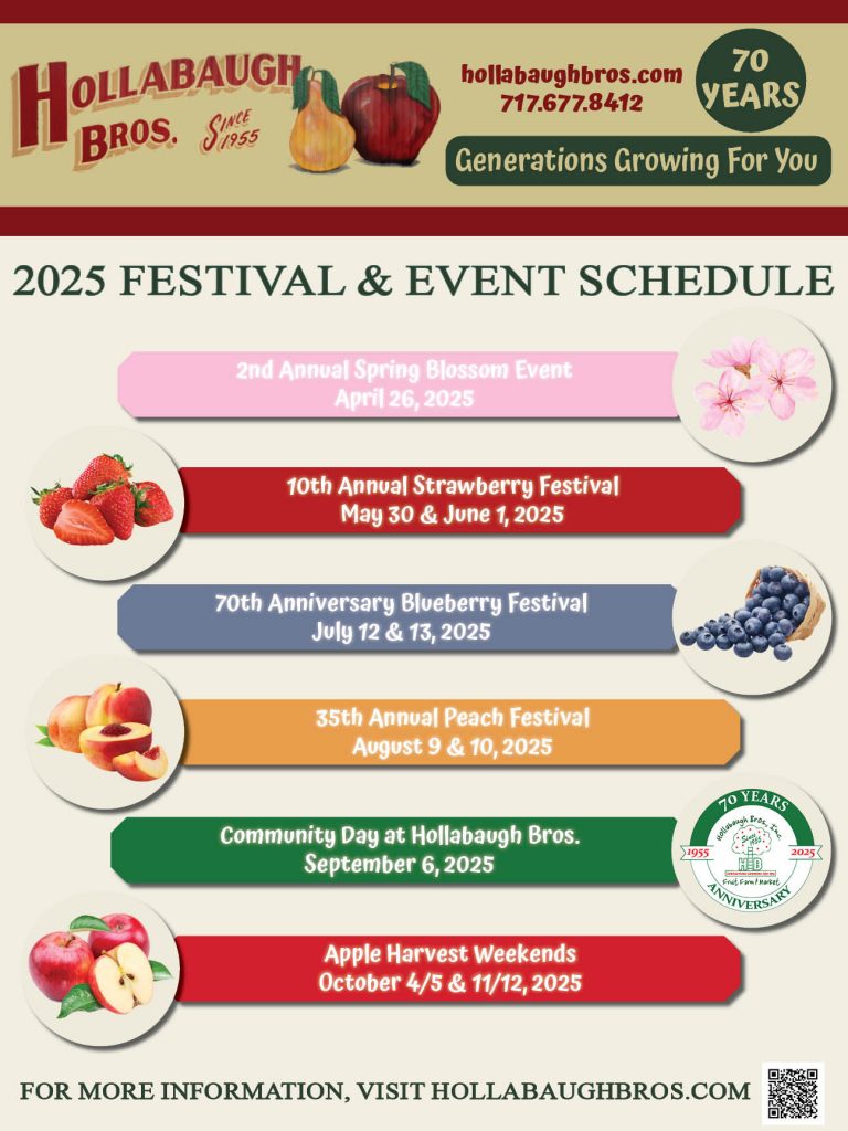 image 623 Festival 2025