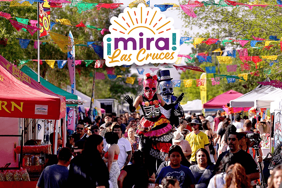 image 644 Festival 2025