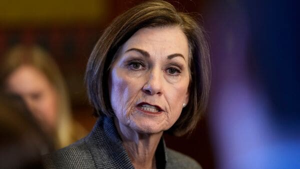 image 647 Festival 2025