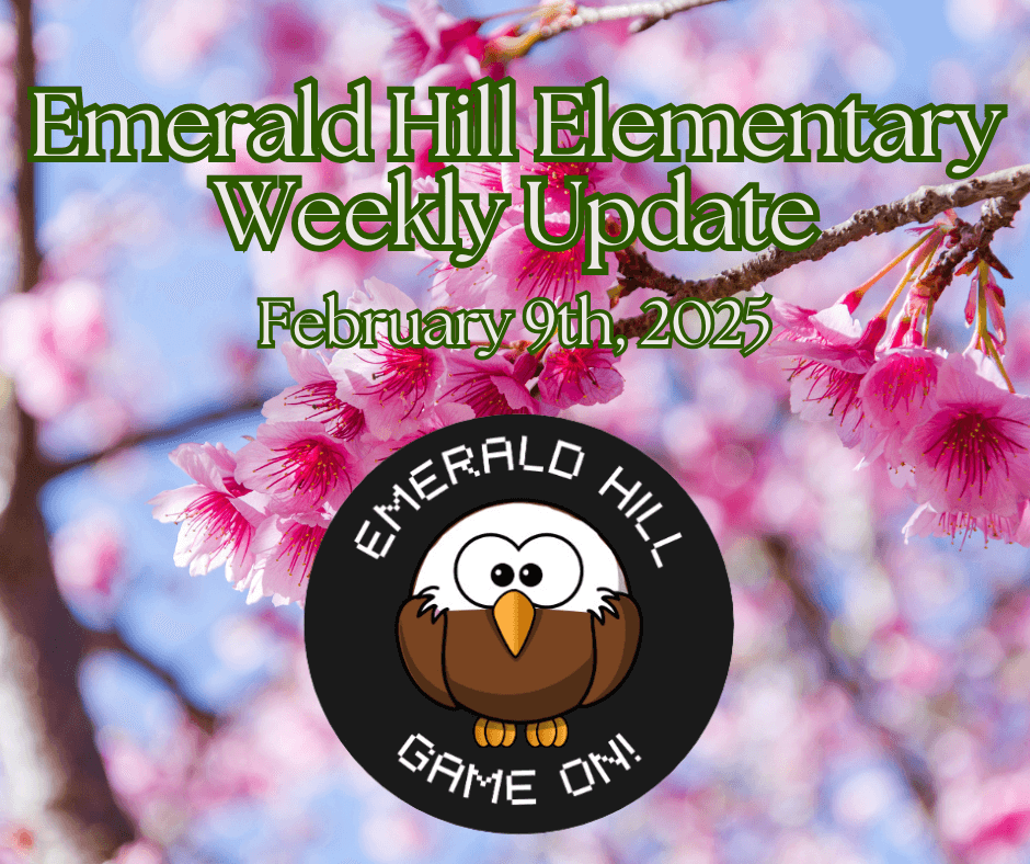 image 652 Festival 2025