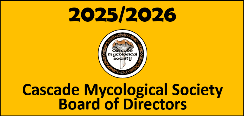 image 654 Festival 2025