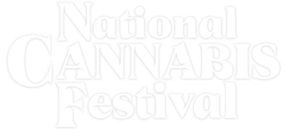 image 667 Festival 2025